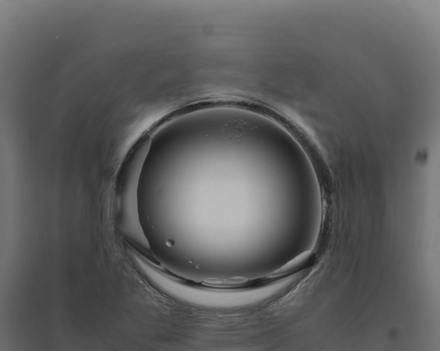 X0000094781269200711241331