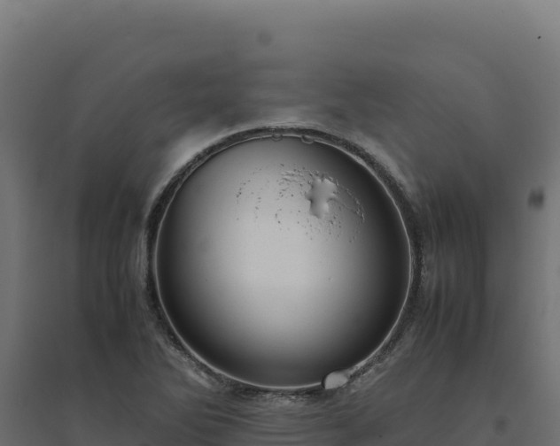 X0000094781270200711241331