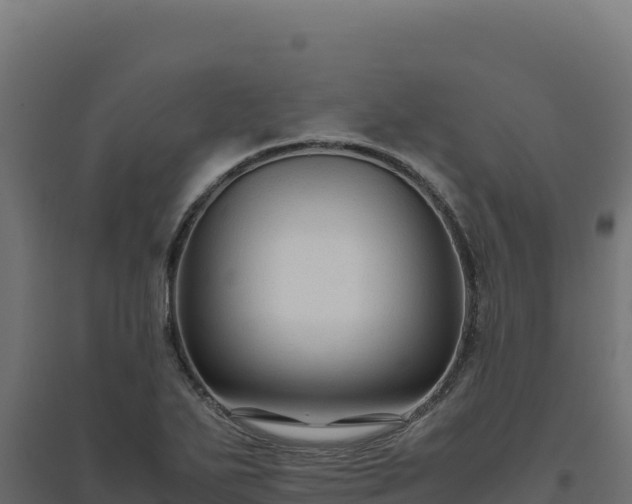 X0000094781271200711241331