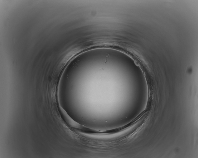 X0000094781273200711241331