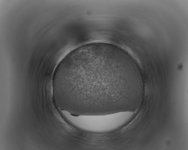 X0000094781274200711241331