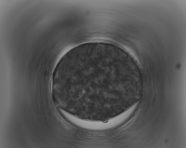 X0000094781275200711241331