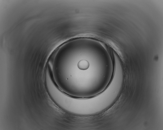 X0000094781276200711241331
