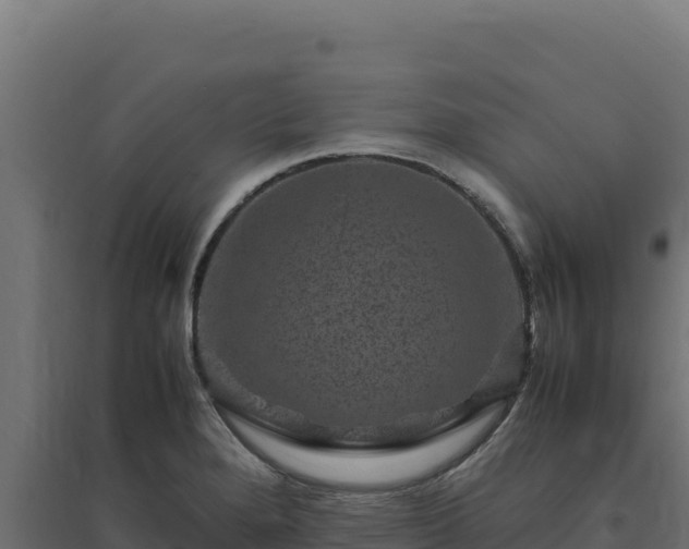 X0000094781280200711241331
