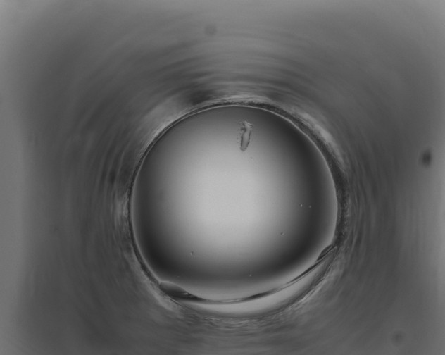 X0000094781281200711241331