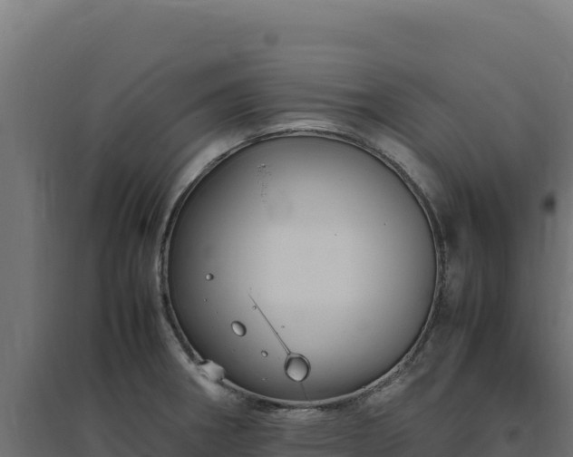 X0000094781282200711241331