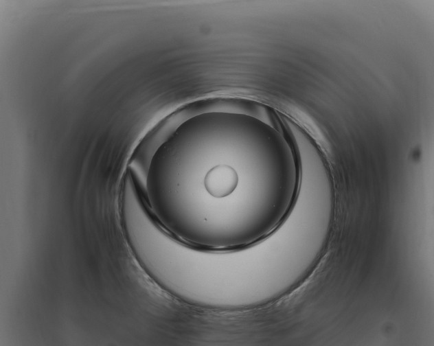 X0000094781284200711241331