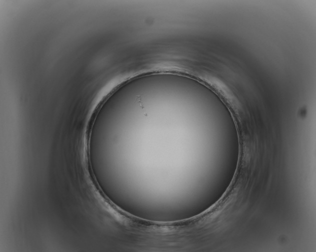 X0000094781286200711241331