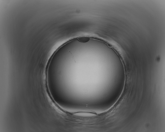 X0000094781287200711241331
