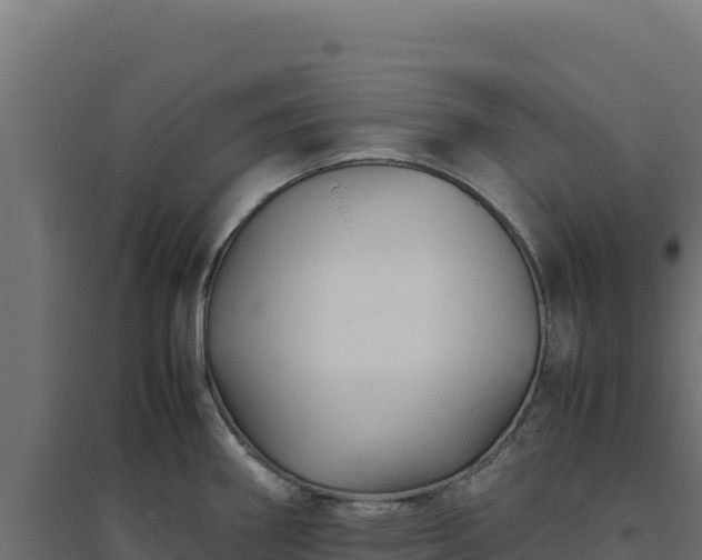 X0000094781290200711241331