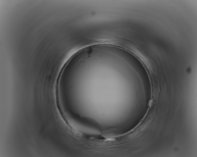 X0000094781291200711241331