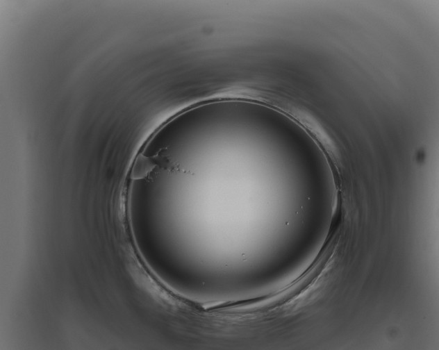 X0000094781292200711241331
