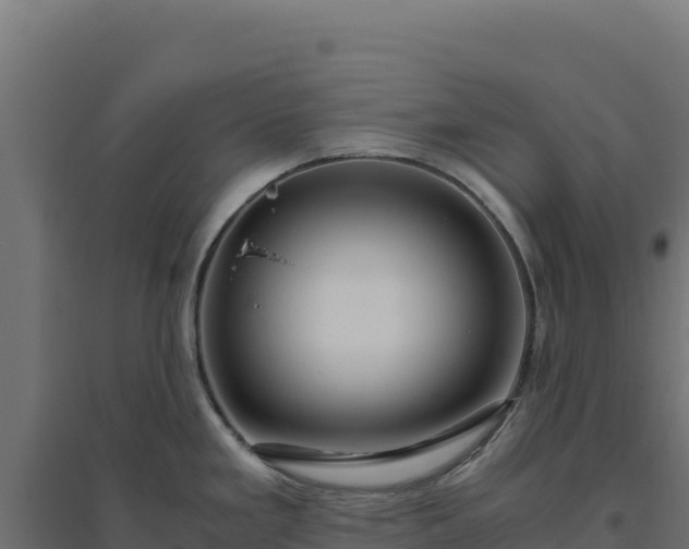 X0000094781293200711241331