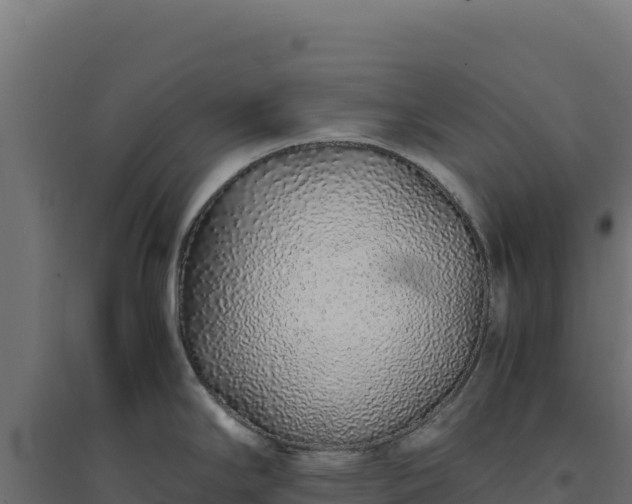 X0000094781294200711241331