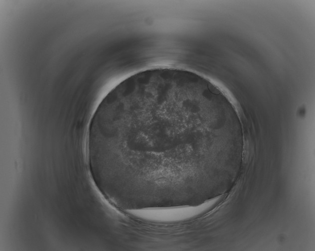 X0000094781295200711241331