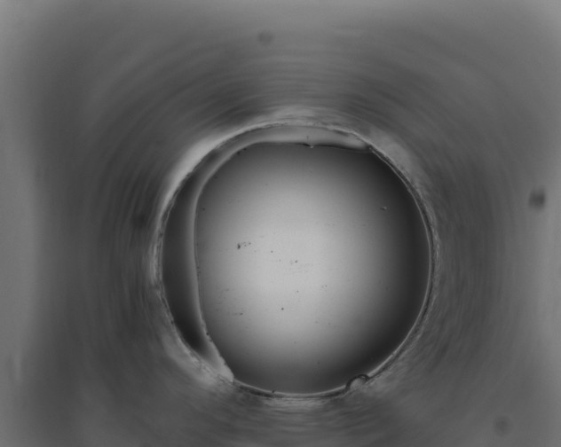 X0000094781296200711241331