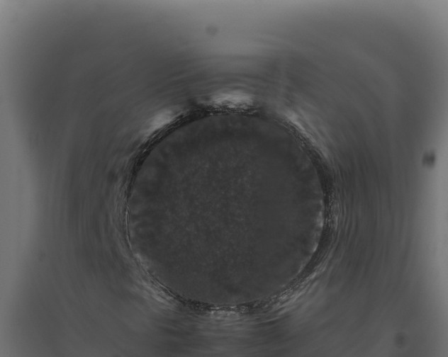 X0000094781297200711241330