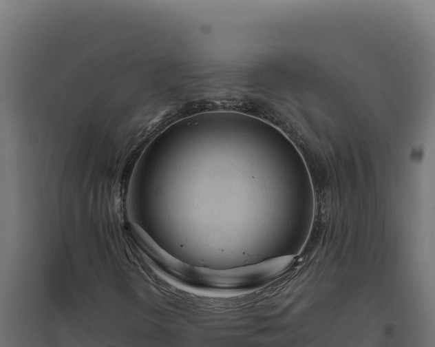 X0000094781298200711241330