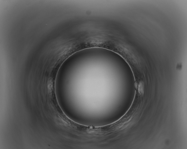 X0000094781299200711241330