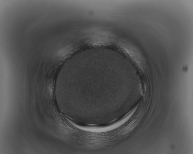 X0000094781300200711241330