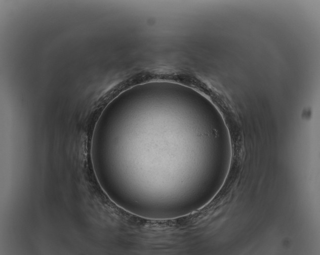 X0000094781301200711241330