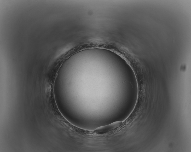 X0000094781302200711241330