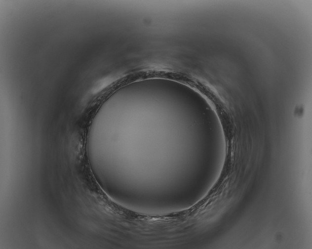 X0000094781303200711241330