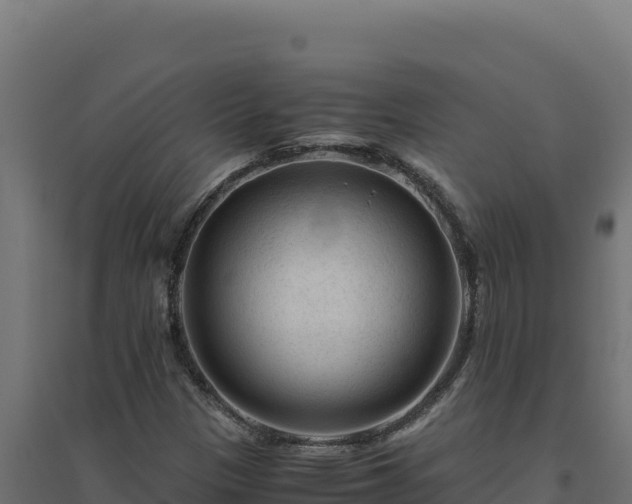 X0000094781305200711241330