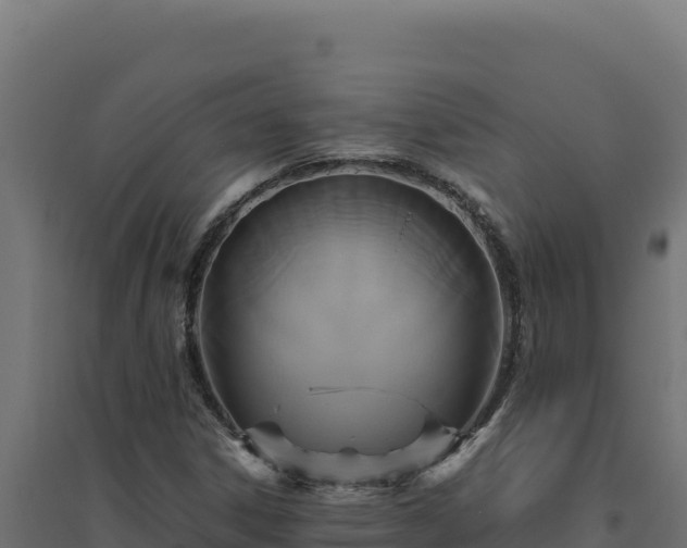 X0000094781306200711241330