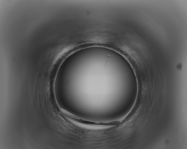 X0000094781307200711241330