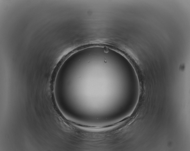 X0000094781308200711241330
