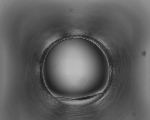 X0000094781309200711241330