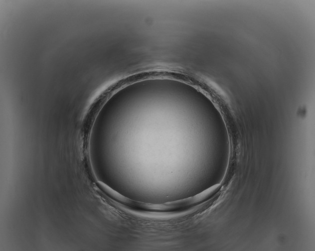 X0000094781310200711241330