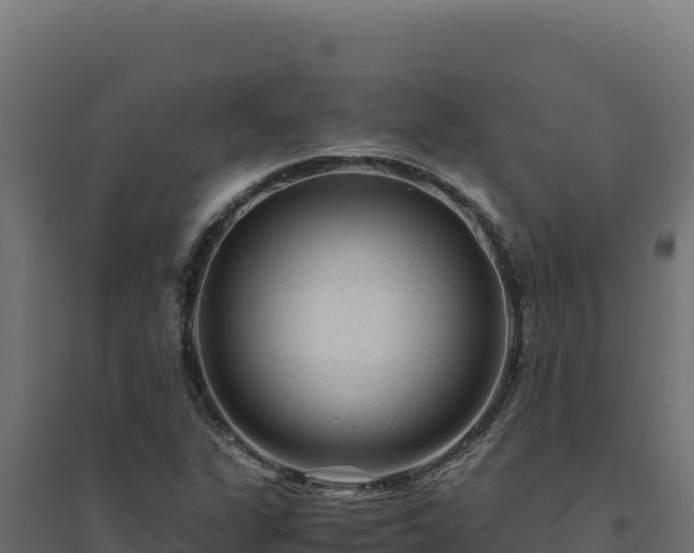 X0000094781311200711241330