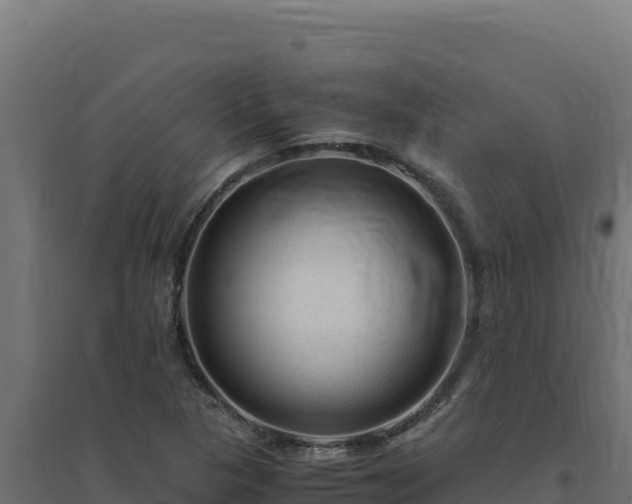 X0000094781313200711241330