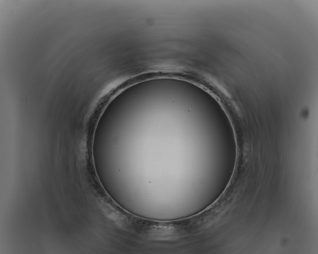 X0000094781315200711241330