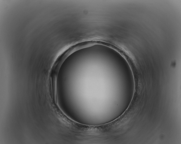 X0000094781316200711241330