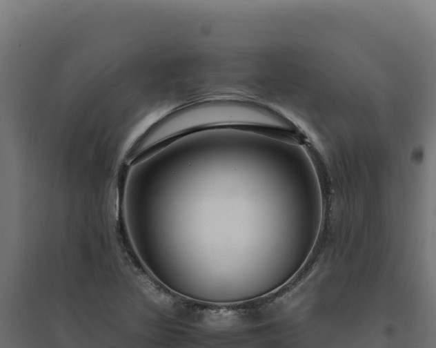 X0000094781317200711241330