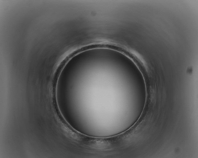 X0000094781318200711241330