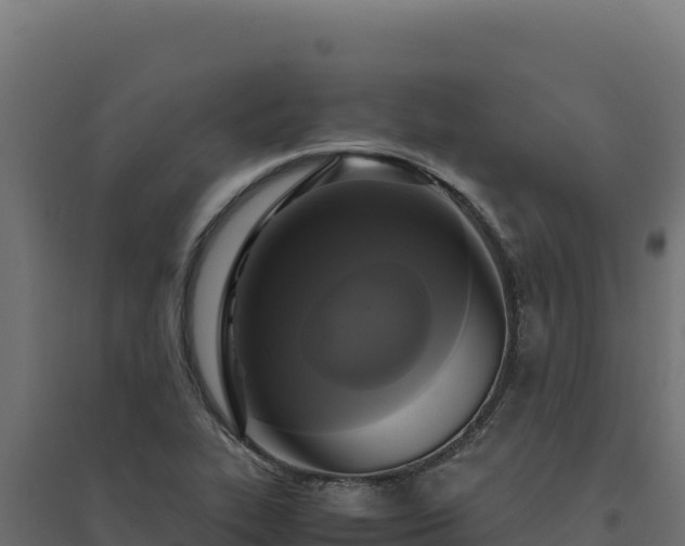 X0000094781319200711241330