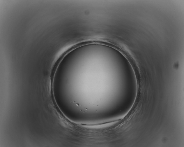 X0000094781320200711241330