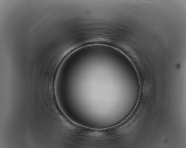 X0000094781321200711241330