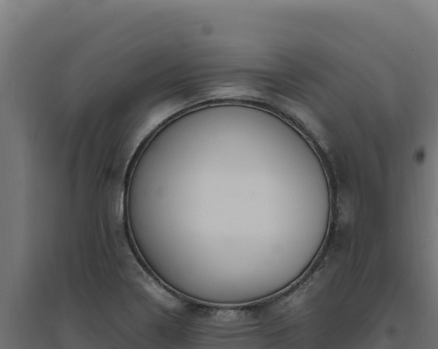 X0000094781322200711241330