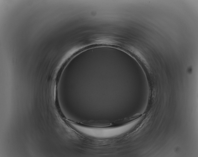 X0000094781323200711241330
