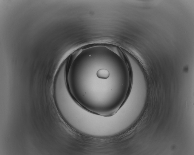 X0000094781324200711241330