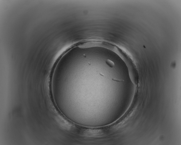 X0000094781325200711241330