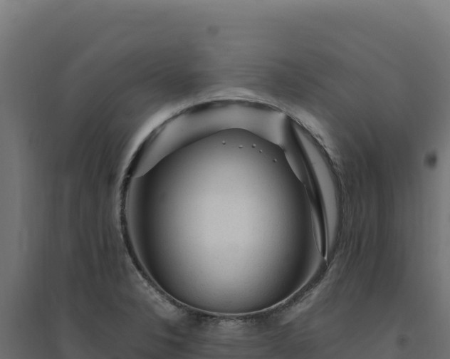 X0000094781326200711241330