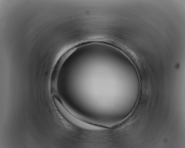 X0000094781328200711241330