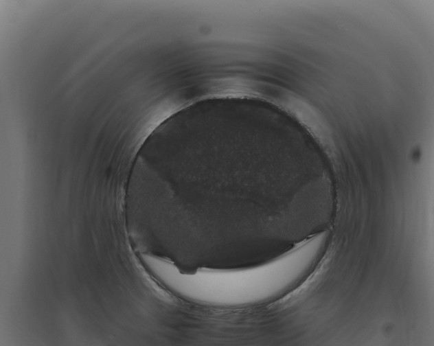 X0000094781329200711241330