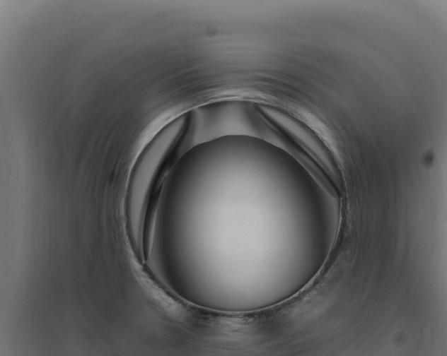 X0000094781330200711241330
